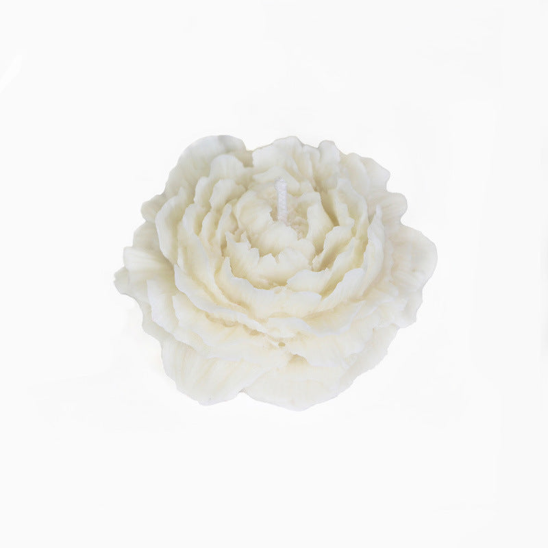 Peony Rose Aromatherapy Candle – Handmade, Low Temp Wax, Gilded, Easy to Clean