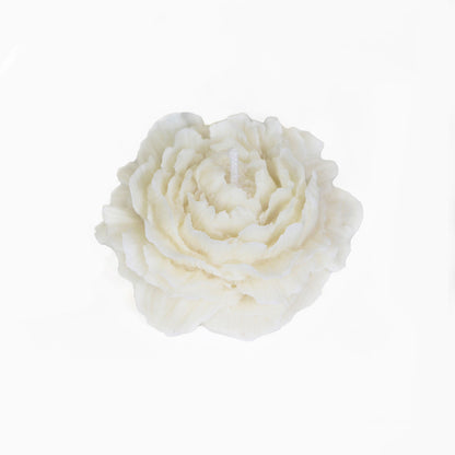 Peony Rose Aromatherapy Candle – Handmade, Low Temp Wax, Gilded, Easy to Clean