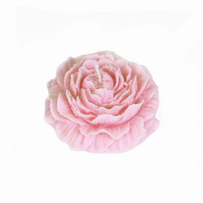 Peony Rose Aromatherapy Candle – Handmade, Low Temp Wax, Gilded, Easy to Clean