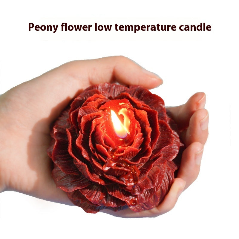 Peony Rose Aromatherapy Candle – Handmade, Low Temp Wax, Gilded, Easy to Clean